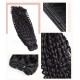 Nature Black Bouncy Curly 100% Virgin Human Hair Bundles