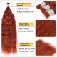 Wet and Wave |#350 Burgundy Bundles 100% Human Hair