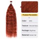 Wet and Wave |#350 Burgundy Bundles 100% Human Hair