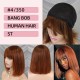 Straight Shoart Bob with Bang Wig 100% Human Hair