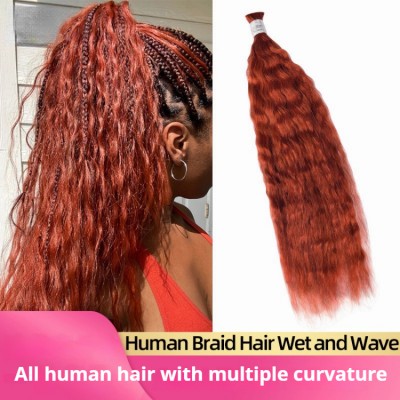 Wet and Wave |#350 Burgundy Bundles 100% Human Hair