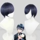 Black Butler |Cosplay Wig Ciel Phantomhive Blue-Gray Mixed Short Hair 30cm