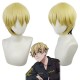 Tokyo Revengers Chifuyu Matsuno Cosplay Wigs Yellow Short Hair 30CM 