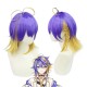 Nijisanji Cosplay Wig - Aster Arcadia Gradient EN VIth Generation VTuber Virtual Idol Host