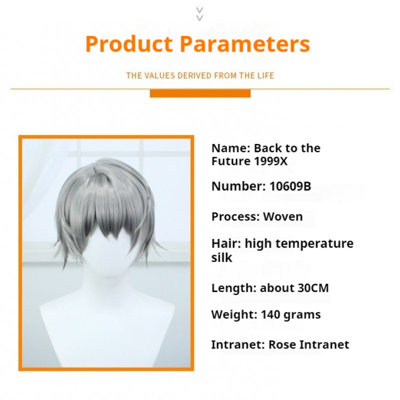 Back to the Future 1999 Character X Gray Short COS Wig 30cm