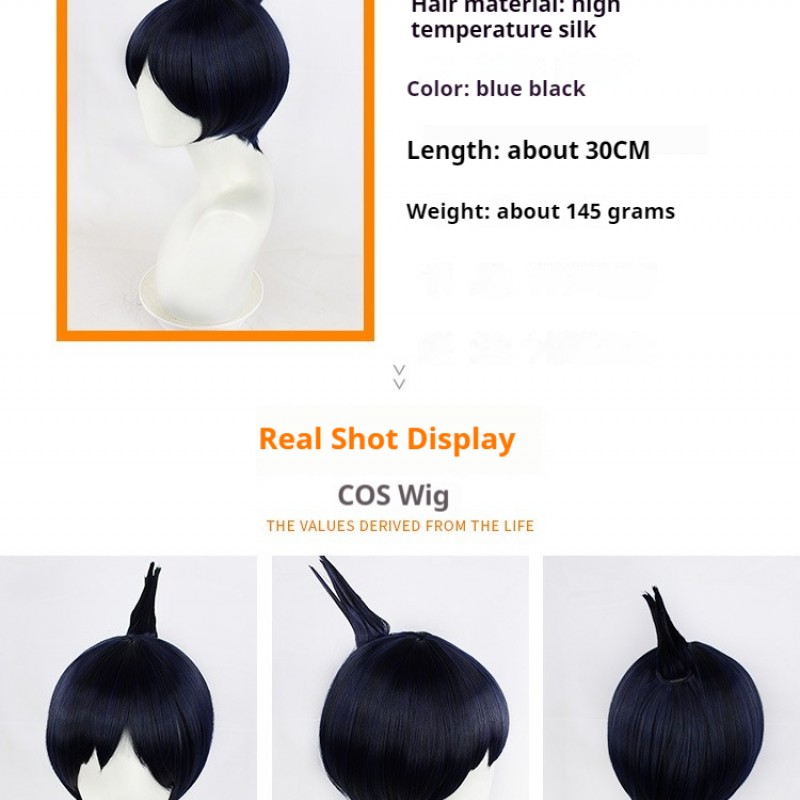 Chainsaw Man Hayakawa Akio Black Short Cosplay Wig 30cm