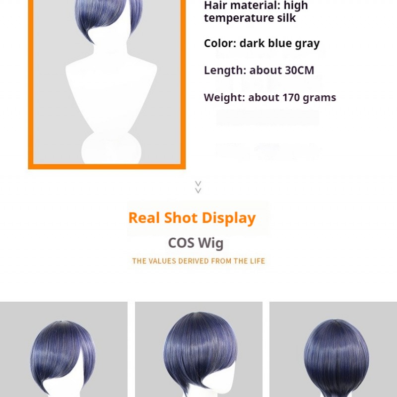 Black Butler |Cosplay Wig Ciel Phantomhive Blue-Gray Mixed Short Hair 30cm