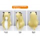 Genshin Impact |Fischl Ozthe Traveler Cosplay Wig Twin Tails of the Condemnation Princess with Nightmare of the Absolute Dream 70cm