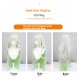 Genshin Impact |Sumeru Great Lord of Trees Archon Cosplay Wig Chromatic Green-Silver Gradient Long Hair with Braids 95cm