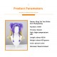 King of Glory Mobile Game - Sun Shangxiang Cosplay Wig - Yin Ni Shining Long Purple Braided Twin Tail Hairstyle