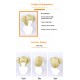 My Hero Academia - Toga Himiko Cosplay Wig - Light Brownish Yellow