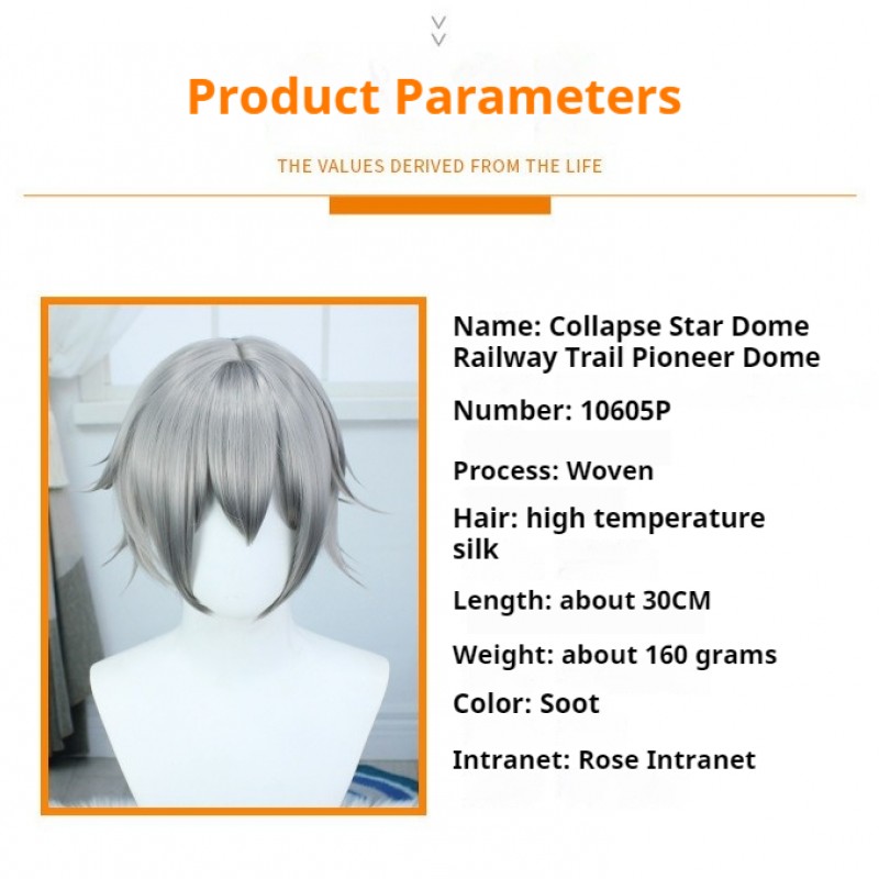 Stellar Railways |Pathfinder Grey Short Cosplay Wig 30cm