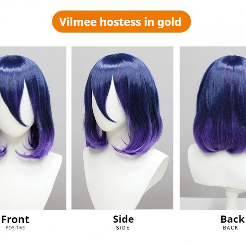 The Invincible Wizard Villainess Cosplay Wig - Main Character Villainess with Blue Gradient Hair Dye