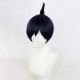 Chainsaw Man Hayakawa Akio Black Short Cosplay Wig 30cm