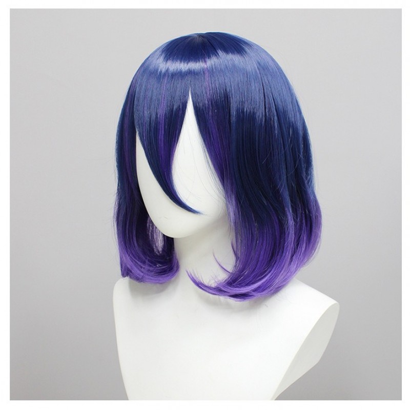 The Invincible Wizard Villainess Cosplay Wig - Main Character Villainess with Blue Gradient Hair Dye