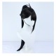 Suzume no Tojimari Cosplay Wig Iwato Suzume and Munakata Souta Black Long Straight Hair