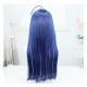 Stellar Railways |Seele Blue-Purple Highlights Straight Long Hair 70cm