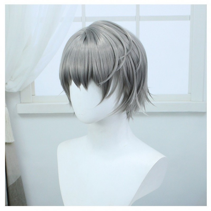 Back to the Future 1999 Character X Gray Short COS Wig 30cm