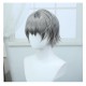 Back to the Future 1999 Character X Gray Short COS Wig 30cm