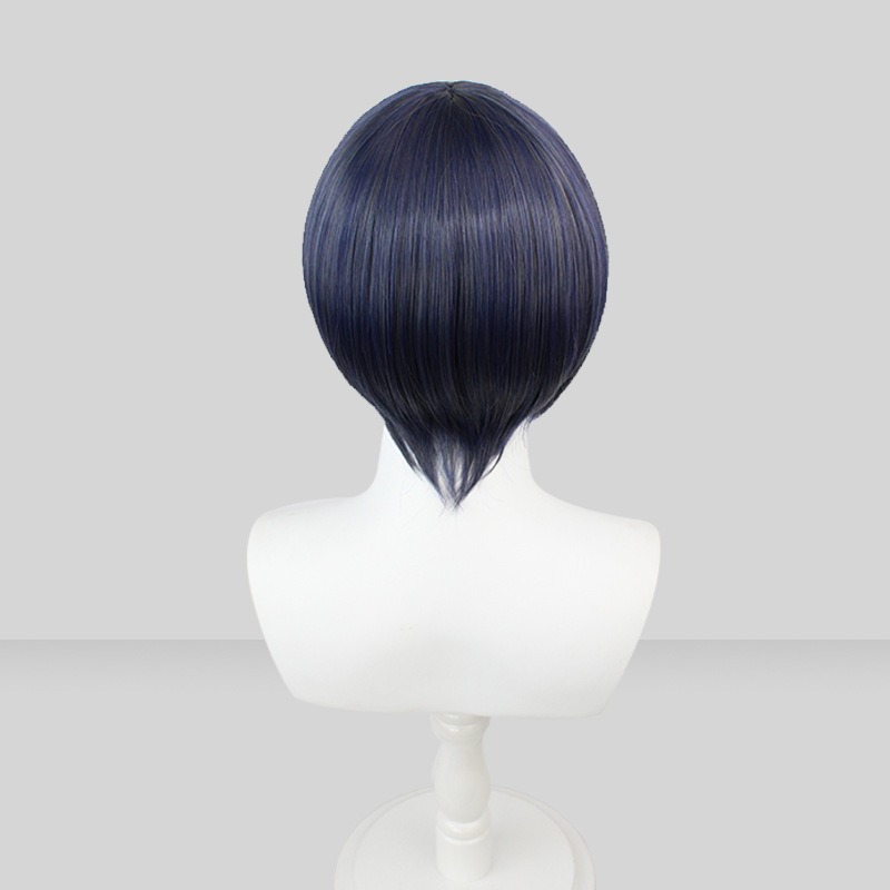 Black Butler |Cosplay Wig Ciel Phantomhive Blue-Gray Mixed Short Hair 30cm