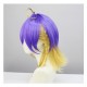 Nijisanji Cosplay Wig - Aster Arcadia Gradient EN VIth Generation VTuber Virtual Idol Host