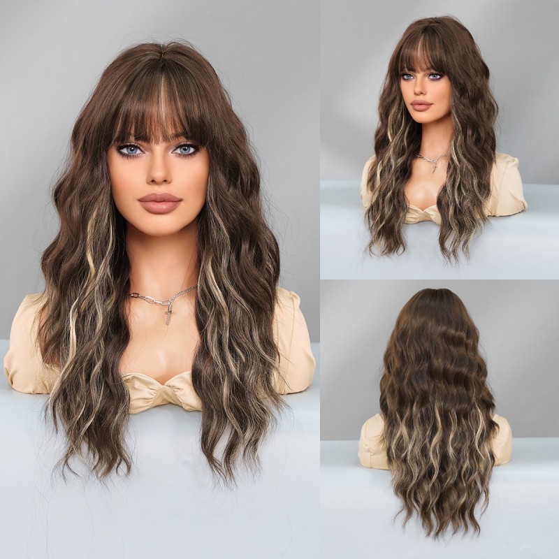 Long Wavy Wig with Blonde Highlights