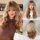 Long Wavy Wig with Blonde Highlights