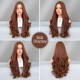 Brown Long Wavy Wig with Center Part