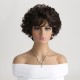 Classic Brown Short Curly Wig