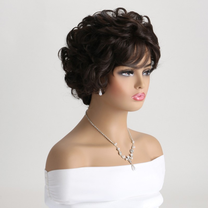 Classic Brown Short Curly Wig