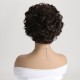 Classic Brown Short Curly Wig