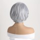 Cool Silver Off-center Part Short Curly Wig