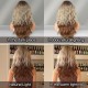 Long Wavy Wig with Blonde Highlights