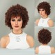 African American Women's Short Springy Curl Synthetic Wig with Brown Tresses and Pixie Cut Bangs